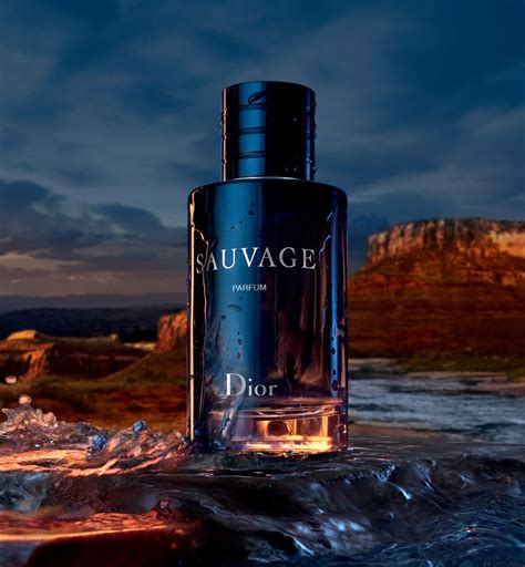 dior sauvage bestes parfum|Dior Sauvage perfume boots.